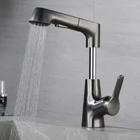  Cabezal de ducha de alta presión, sistema dual 2 en 1 con  soporte ajustable y manguera de 60 pulgadas, ducha de baño de alto flujo  montada en la pared, acabado cromado 