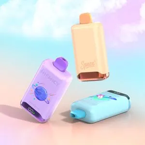 elfbar nachfüll pod läuft aus Puffs rechargeables : le guide complet 2025