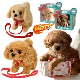 Rammelaar Hond Dierenspeelgoed kopen? ✔️ Tot 20% korting