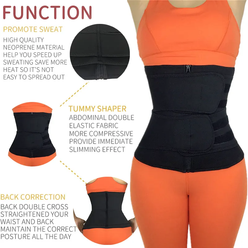 Curve shaper online