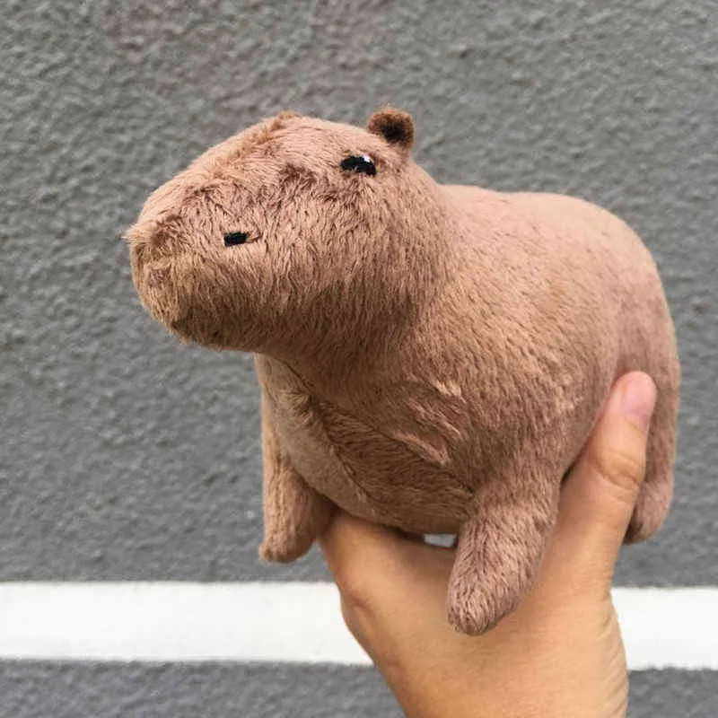 18cm Simulation Capybara Peluche Toy Fluffy Capybara Poupée Soft