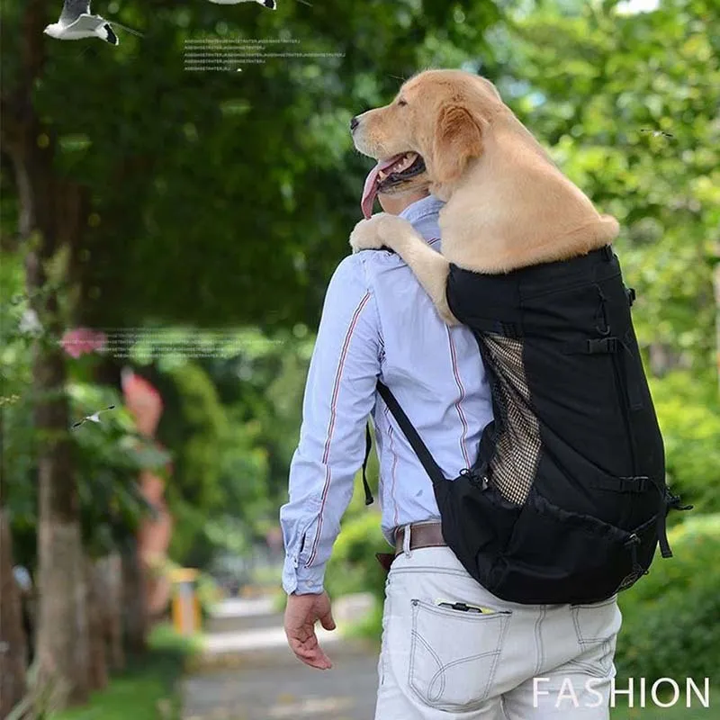 Dog Pet Carrier épaule Sac à dos chien voyageurs Outcrop Sacs ventilation  lavable et extérieur Vélo Randonnée Sac à dos C19021302
