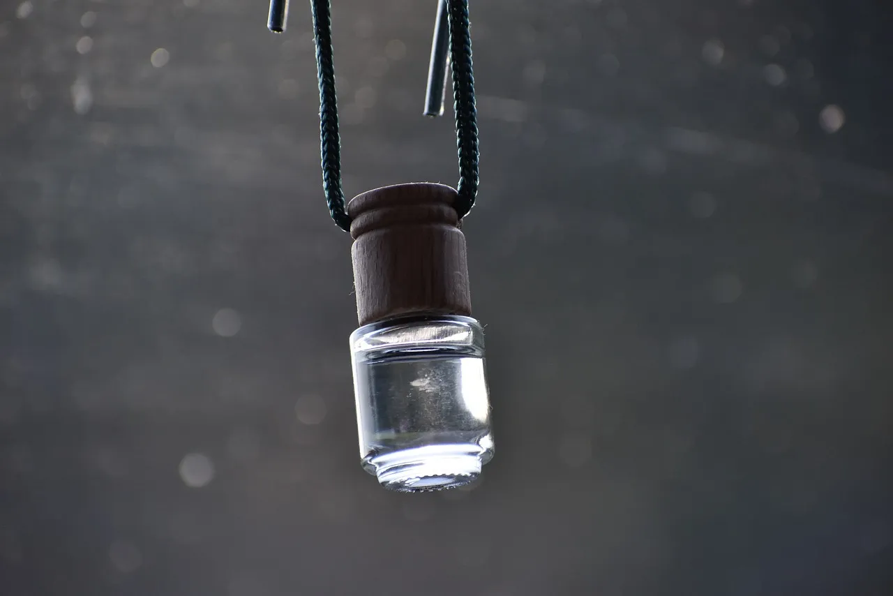 10 Best Car Diffuser Hanging Options for a Fresh and Aromatic Ride