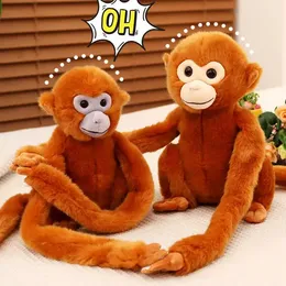 Peluche Singe à Longs Bras de 70 cm – Bras Extensibles pour Jouer et Décoration de la Maison Peluche Singe à Longs Bras de 70 cm – Bras Extensibles pour Jouer et Décoration de la Maison