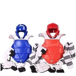 Taekwondo