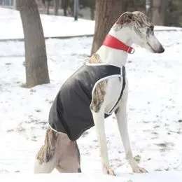 Ropa Galgo Italiano - Suéter Cálido Otoño Invierno, Cuello Alto, Rayas - Para Perros Medianos