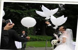 Decoración de la boda Globo de la paloma blanca Globos de la boda blancos Globos de helio biodegradables ecológicos Favores de fiesta 10pcslot5821209
