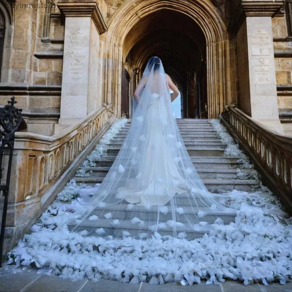 Bijoux de cheveux de mariage 2 niveaux de mariée Veille de luxe Romance Veille de mariage 5m de long Illusion de mariée douce de style cathédrale avec accessoires de mariée V126