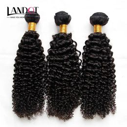 Trames de cheveux cambodgiens bouclés non transformés cambodgiens crépus bouclés tissage de cheveux humains 3 faisceaux lot 8A grade cambodgien Jerry Curls extension de cheveux