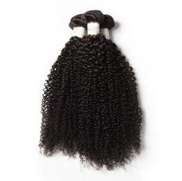Trames IRINA remy Brésilien péruvien malaisien mongol indien cheveux vierges crépus bouclés 8 "28" stock extensions de cheveux humains tissage de cheveux