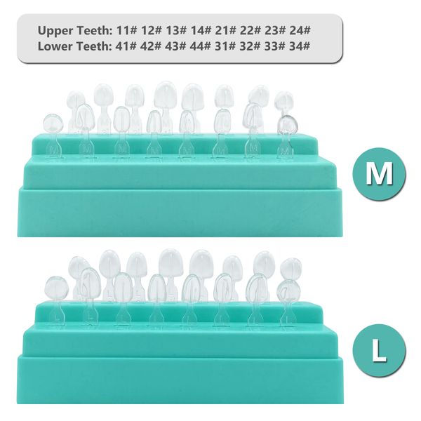 Wellck Dental Veneer Moule de moule composite Moule de résine de résine Cure Autoclave Autoclave Détaux avant antérieure Moule de dents