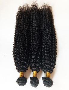 Mèches de cheveux humains brésiliens humides et ondulés Kinky Curly Factory entier et au détail véritable trame de cheveux indiens malaisiens péruviens No Ta6081866