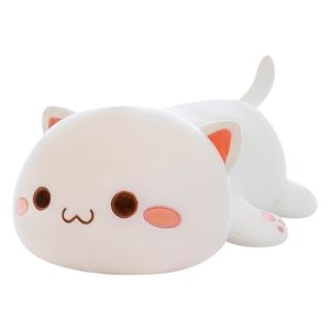 Cat blanc Planche Planche en peluche Jouet Chat Cat Poupler Animal et jouet moelleux