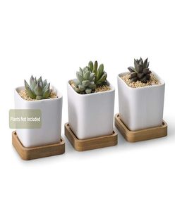Wit keramisch hedendaags vierkante ontwerp Succulente plant potcactus Plant Pot met bamboe Tray5045159
