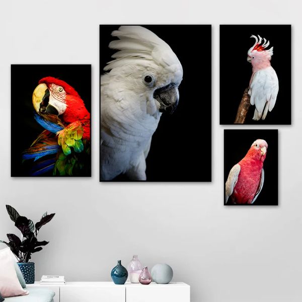 Toile de cacatoo blanc peinture animal australien perroquette affiche animal imprimé moderne art mural art oiseau image décor de salon