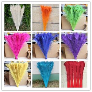 entier 100 PCS teinture plumes de paon 70-80 cm 28-32 pouces couleur que vous choisissez Pièce maîtresse de mariage decor254p