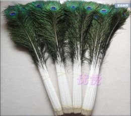 Belles plumes de paon naturelles de haute qualité, 100 pièces par lot, 1044 pouces, 25110cm, yeux pour bricolage, décoration de vêtements, mariage, 5567076