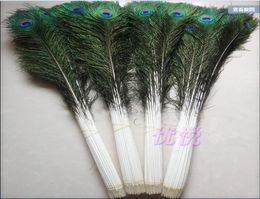 Belles plumes de paon naturelles de haute qualité, 100 pièces par lot, 1044 pouces, 25110cm, yeux pour bricolage, décoration de vêtements, mariage, 5428235