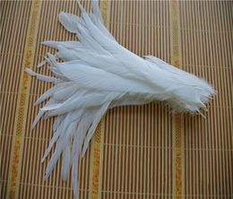 Hele 100 stuksslot 1214 inch pure Witte Coque haan hackle staartveer voor Ambachten decor2000014