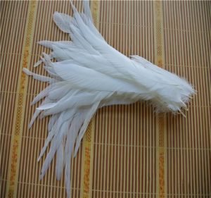 Plume de queue de coq blanche pure, 100 pièces, 1214 pouces, pour artisanat, décoration 2098920