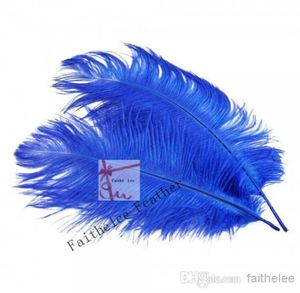 Plume d'autruche bleu Royal, 100 pièces par lot, 1214 pouces, 3035cm, pour pièce maîtresse de mariage, décoration de la maison, 1101856