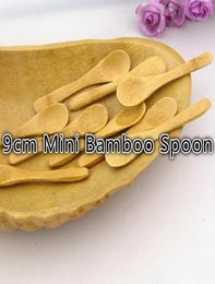 Entier 100pcslot 9cm mini cuillère en bambou en bois belle cuillère d'assaisonnement cuillère à crème glacée 7932292