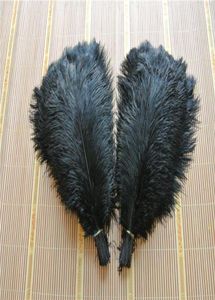 entier 100pcslot autrrich plumes panaches autruche plume noir pour la pièce maîtresse de mariage décor de mariage coetumes fête décor2771985