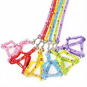 Ensemble 20 pcs chaton chiot collier de sécurité chien de compagnie laisse sangles de poitrine réglable lapin dessin animé harnais de chien avec laisse animalerie 201265z