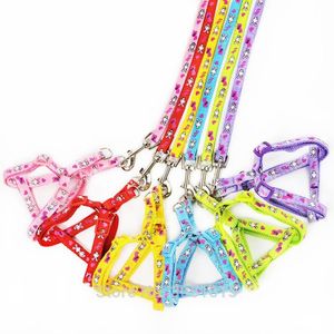 Entier 20 pcs chaton chiot collier de sécurité chien de compagnie laisse sangles de poitrine réglable lapin dessin animé harnais de chien avec laisse animalerie 201274e