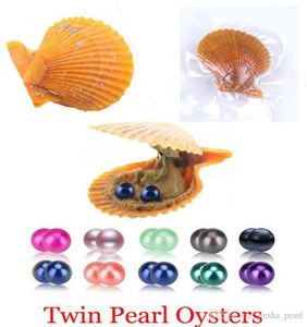 Hele 2020 Nieuwe Rode schelp 27 kleuren ronde akoya 67mm Twins parels oesters Sieraden Decoraties Vacuümverpakking Trend Gift Surp7122581