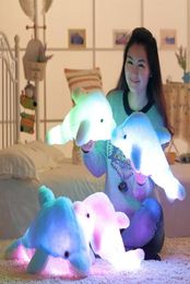 Oreiller de dauphin coloré clignotant lumineux entier de 45 cm avec lumière LED coussin en peluche poupée en peluche pour fête d'anniversaire Gi7821309