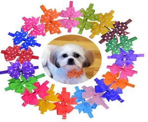 Whole 500pcs Dog Ties Bow Large Bows Pet Oog Bowtie Necclues PET PET TIES DOG DIES ACCESSOIRES DES FOURNES DE DURMING 20 COLOR8491499