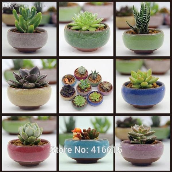 Whole-8Pcs / Lot Microlandschaft Mini Plantas Suculentas Flores Florero Maceta Terrario Contenedor Mini Bonsai Macetas Cerámica Acces256T