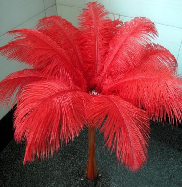 Beaucoup de belles plumes d'autruche 2530 cm pour pièce maîtresse de mariage centres de Table décoration de fête approvisionnement EEA1941817709