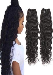 Entièrement pas cher 8a Human Hair Weave Brésilien Waw Wave Virgin Hair Extensions Peruvian Human Hair Waft 2pcs Offres 80583303857563