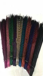 Couleurs personnalisées entières plumes de queue de faisan Iewelry artisanat chapeau masque plume extension de cheveux 100 pièces 2022 pouces 5055 cm EEA2941255u243390937