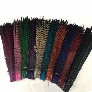 Plumes de queue de faisan, couleurs personnalisées entières, bijoux artisanaux, masque de chapeau, extension de cheveux, 100 pièces, 20-22 pouces, 50-55cm, EEA294-1282x