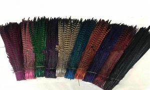 Colores personalizados completos Plumas de cola de faisán Joyería Artesanía Sombrero Máscara Extensión de cabello de plumas 100 piezas 2022 pulgadas 5055 cm EEA2941255u243650432