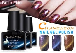 Juego completo de 10ml de esmalte de uñas magnético, camaleón, ojo de gato, UVLED, abrigo negro, imán para decoración de uñas DIY, Gel de larga duración Nail9610955