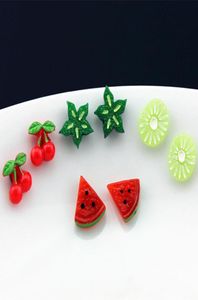 Hele kavels 12 paren heerlijk fruit oorloze stud oorbellen watermeloen kinderen magneet magnetische oorbellen voor babymeisjes kerstcadeau9964411