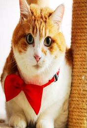 Hele huisdier katten ketting verstelbare riem voor kattenkraaghonden accessoires Pet Dog Bow Tie Puppy Bow Ties Dog Pet Supplies9699335