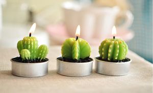 Hele zeldzame mini cactus kaarsen planten decor huistafel tuin 6pcslot kawaii decoratie fabrieksexpert ontwerp quali3864587