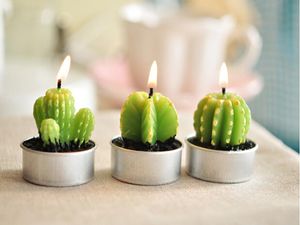 Hele zeldzame mini cactus kaarsen planten decor huistafel tuin 6pcslot kawaii decoratie fabrieksexpert ontwerp quali4654173