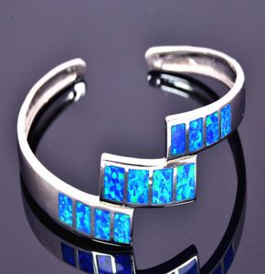 Hele Retail Mode Fijne Blue Fire Opal Bangles 925 Verzilverde Sieraden Voor Vrouwen BNT15220049912541