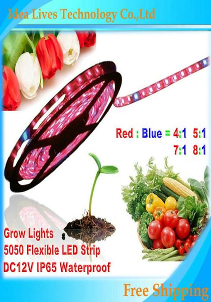 Whole5m 5050 DC12V tira de luces LED para cultivo de plantas rojo azul 41517181 para cultivo de plantas hidropónicas de invernadero 5mlot1662288