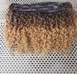 En gros cheveux humains brésiliens Vrgin Remy Extensions de cheveux pince dans le Style crépus bouclés naturel noir brun blond Ombre Color3999783