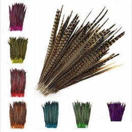 Groothandel 100 stks/partij mooie natuurlijke fazant staartveren 40-45 cm/16-18 inches