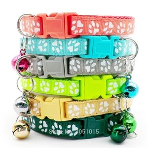 Vente en gros 100pcs couleurs arc-en-ciel collier de chat pour animaux de compagnie avec un collier de sécurité de la sécurité de la sécurité