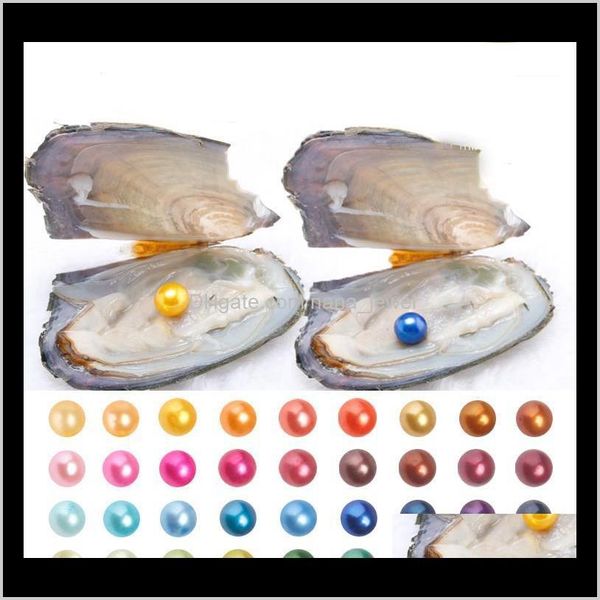 En gros 2018 Akoya perle huître 6-7Mm ronde 25 couleurs eau douce naturelle cultivée dans des huîtres fraîches approvisionnement en moules Akynx Rhcnz