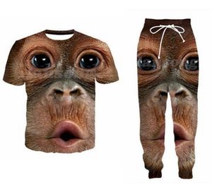 Vente en gros - 2022 Nouvelle mode décontractée Big Monkey Face 3D All Over Print Survêtements T-shirt + Pantalon de jogging Costume Femmes Hommes @ 031